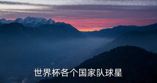 世界杯各個(gè)國(guó)家隊(duì)球星