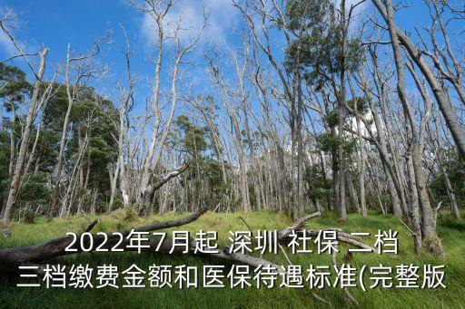 深圳二檔社保