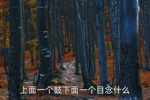 鼓目，上面一個鼓下面一個目念什么