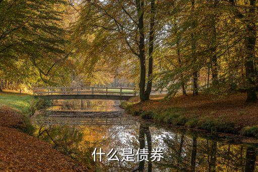 債券，債券的概念是什么