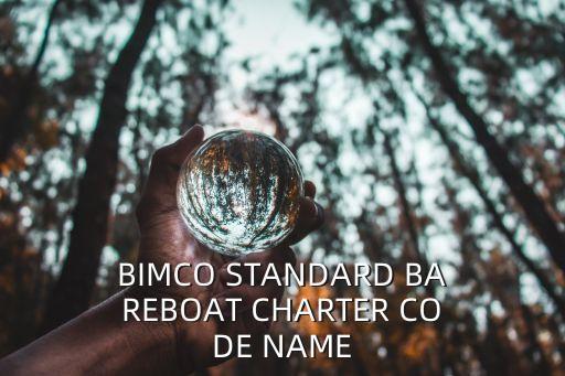 bimco，bimco條款的中文翻譯