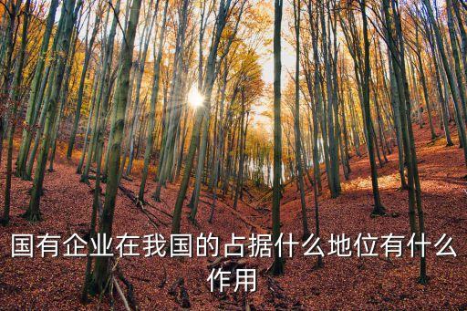 國(guó)有企業(yè)在我國(guó)的占據(jù)什么地位有什么作用