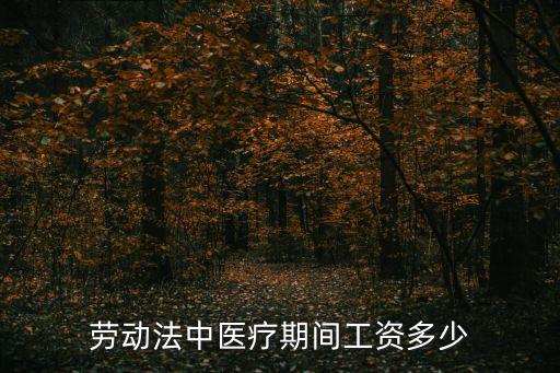 勞動(dòng)法中醫(yī)療期間工資多少