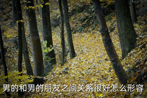 男男關(guān)系，男的和男的朋友之間關(guān)系很好怎么形容