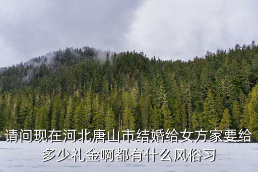 請問現(xiàn)在河北唐山市結(jié)婚給女方家要給多少禮金啊都有什么風(fēng)俗習(xí)