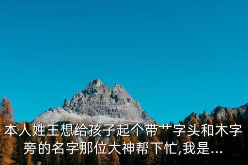 王俊偉