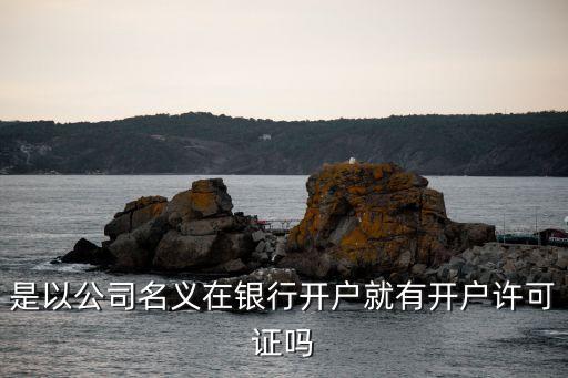 開戶許可證是什么，是以公司名義在銀行開戶就有開戶許可證嗎