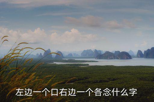 一個口一個各,一口一個各是什么字