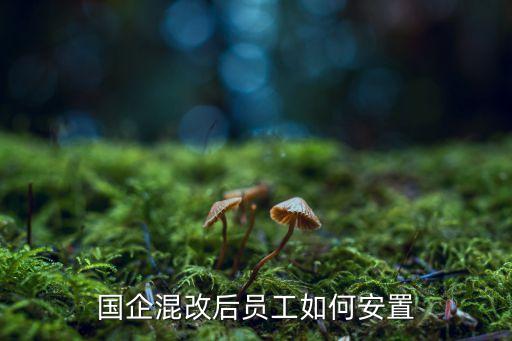 身份置換