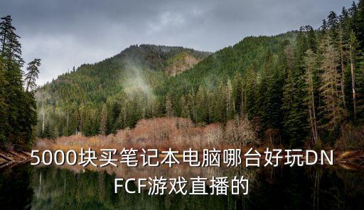 5000塊買筆記本電腦哪臺好玩DNFCF游戲直播的