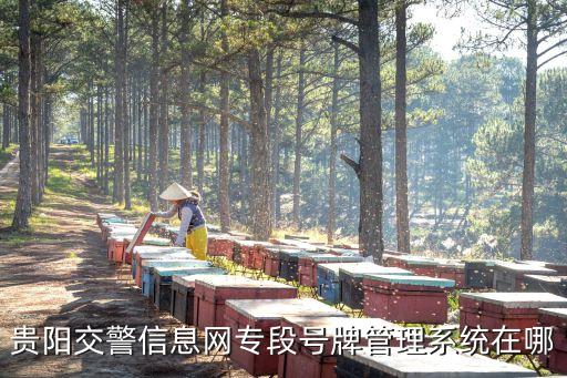 貴陽(yáng)交警信息網(wǎng)專段號(hào)牌管理系統(tǒng)在哪