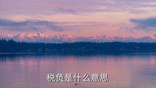 稅負(fù)，什么叫做稅負(fù)
