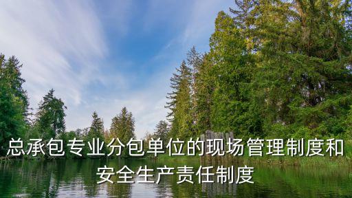總承包專(zhuān)業(yè)分包單位的現(xiàn)場(chǎng)管理制度和安全生產(chǎn)責(zé)任制度