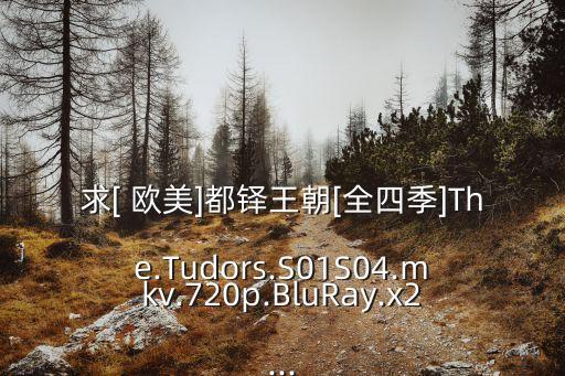 求[ 歐美]都鐸王朝[全四季]The.Tudors.S01S04.mkv.720p.BluRay.x2...