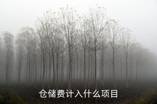 倉(cāng)儲(chǔ)費(fèi)計(jì)入什么項(xiàng)目