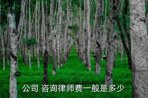企業(yè)合同法律咨詢要多少錢,清遠(yuǎn)企業(yè)法律咨詢多少錢