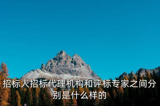 評(píng)標(biāo)專家，招標(biāo)人招標(biāo)代理機(jī)構(gòu)和評(píng)標(biāo)專家之間分別是什么樣的