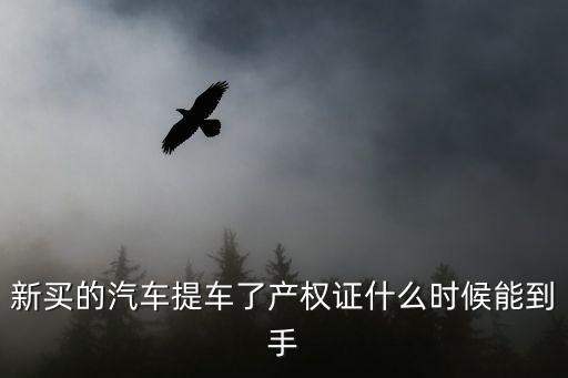 汽車產(chǎn)權(quán)證，車輛產(chǎn)權(quán)證是什么樣子