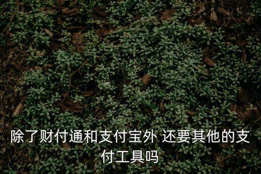 除了財(cái)付通和支付寶外 還要其他的支付工具嗎