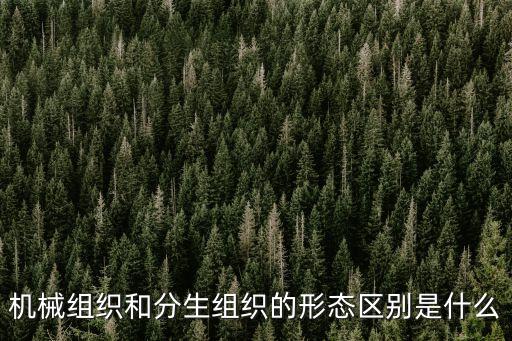機(jī)械組織和分生組織的形態(tài)區(qū)別是什么