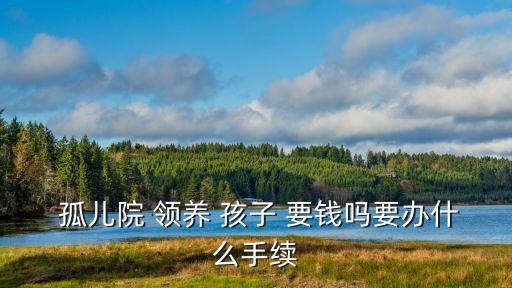 孤兒院領養(yǎng)孩子要錢嗎,石家莊孤兒院領養(yǎng)孩子要錢嗎