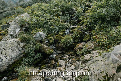 鳳樓app，ctcappimg3qqcom