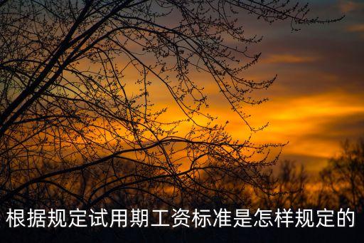 試用期工資標(biāo)準(zhǔn)，勞動(dòng)者試用期的工資標(biāo)準(zhǔn)是怎樣的