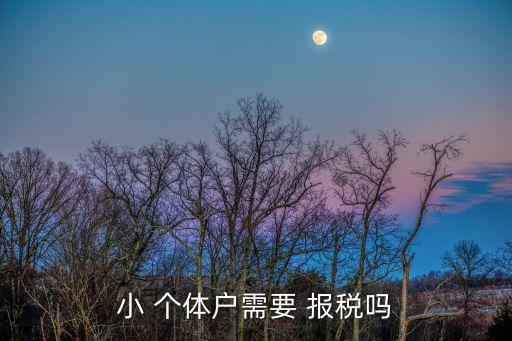 小 個(gè)體戶(hù)需要 報(bào)稅嗎