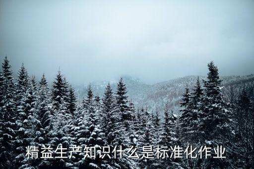 精益生產(chǎn)知識什么是標準化作業(yè)