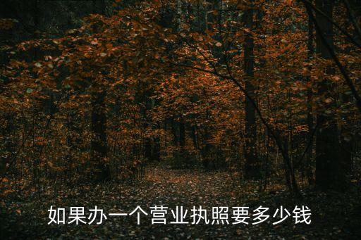 辦營業(yè)執(zhí)照多少錢，如果辦一個營業(yè)執(zhí)照要多少錢