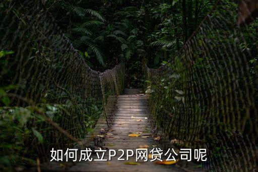 如何成立P2P網(wǎng)貸公司呢