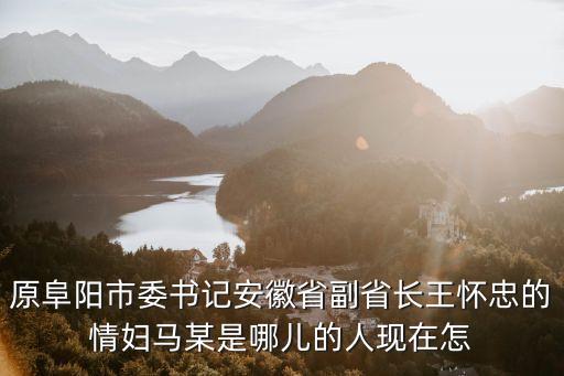原阜陽市委書記安徽省副省長王懷忠的情婦馬某是哪兒的人現(xiàn)在怎