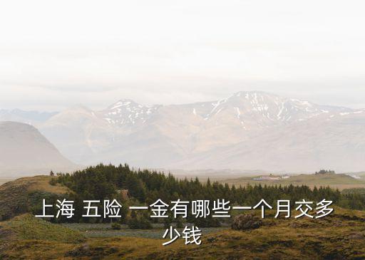 上海五險(xiǎn)一金