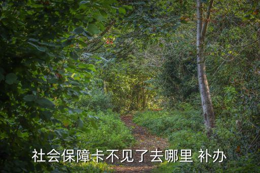 社?？ㄔ谀难a(bǔ)辦,利辛縣社?？ㄔ谀难a(bǔ)辦