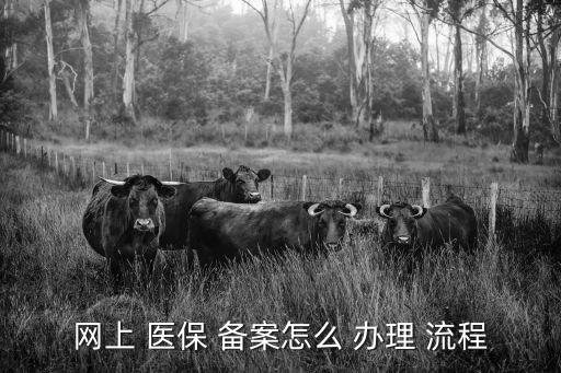 醫(yī)保備案怎么辦理流程,黑龍江異地醫(yī)保備案怎么辦理流程