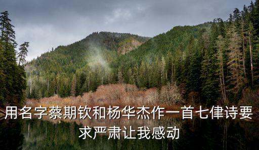 楊華杰，用名字蔡期欽和楊華杰作一首七侓詩要求嚴肅讓我感動