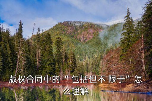 包括但不限于什么意思,包括且不僅限于什么意思
