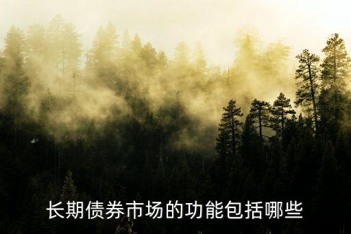 債券市場，長期債券市場的功能包括哪些