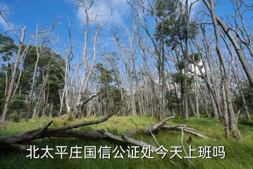 國信公證處，紹興市國信公證處幾點上班