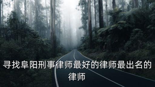 尋找阜陽刑事律師最好的律師最出名的律師