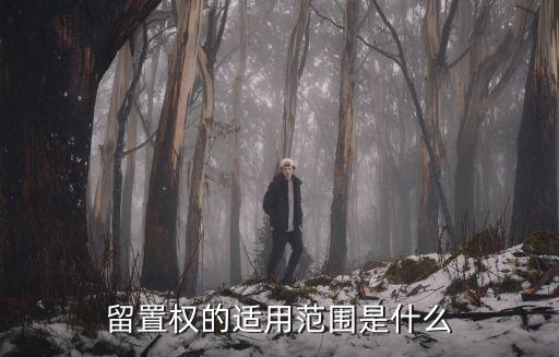 留置權(quán)，留置權(quán)的適用范圍是什么