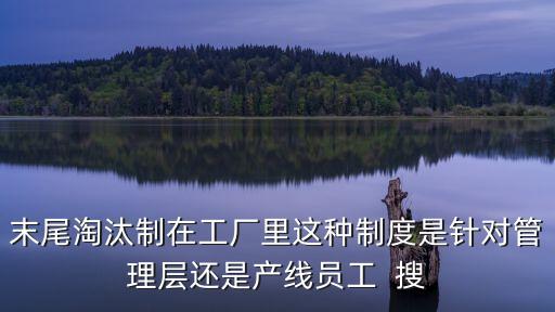 末尾淘汰制在工廠里這種制度是針對管理層還是產(chǎn)線員工  搜