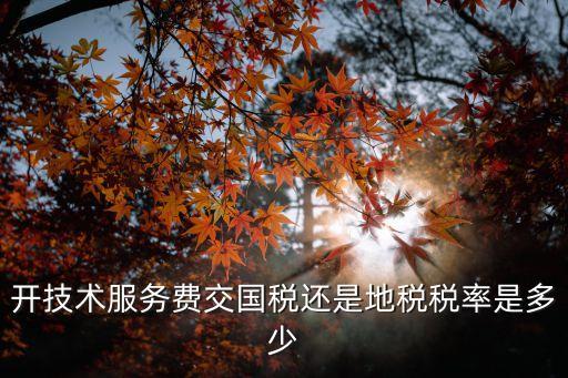 技術(shù)服務(wù)費(fèi)稅率，開技術(shù)服務(wù)費(fèi)交國稅還是地稅稅率是多少