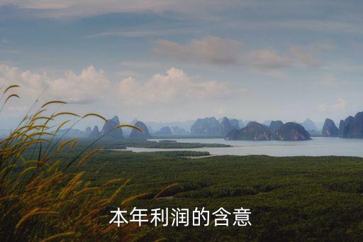 本年利潤，什么是本年利潤
