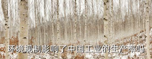環(huán)境規(guī)制影響了中國工業(yè)的生產(chǎn)率嗎