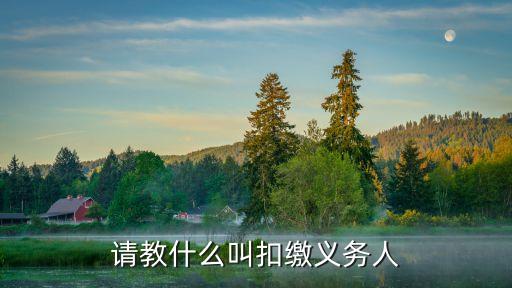 請(qǐng)教什么叫扣繳義務(wù)人