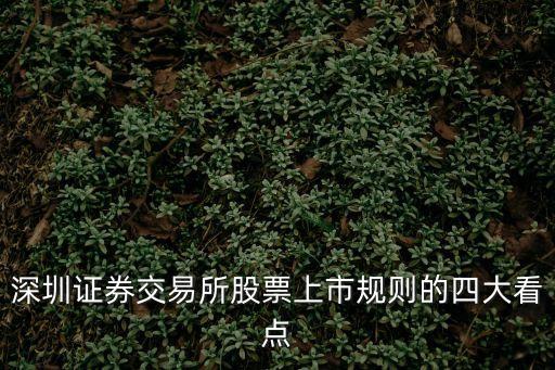 深圳證券交易所股票上市規(guī)則的四大看點(diǎn)