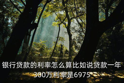 銀行貸款利率計算，銀行貸款的利率怎么算比如說貸款一年300萬利率是6975