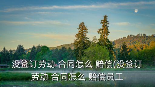沒簽訂勞動 合同怎么 賠償(沒簽訂勞動 合同怎么 賠償員工