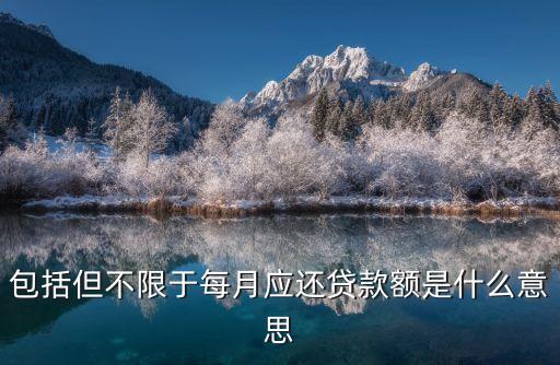 包括但不限于每月應(yīng)還貸款額是什么意思